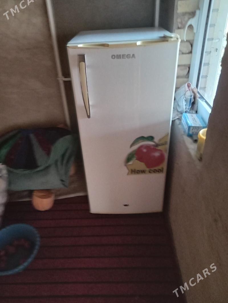 omega - Mary - img 5