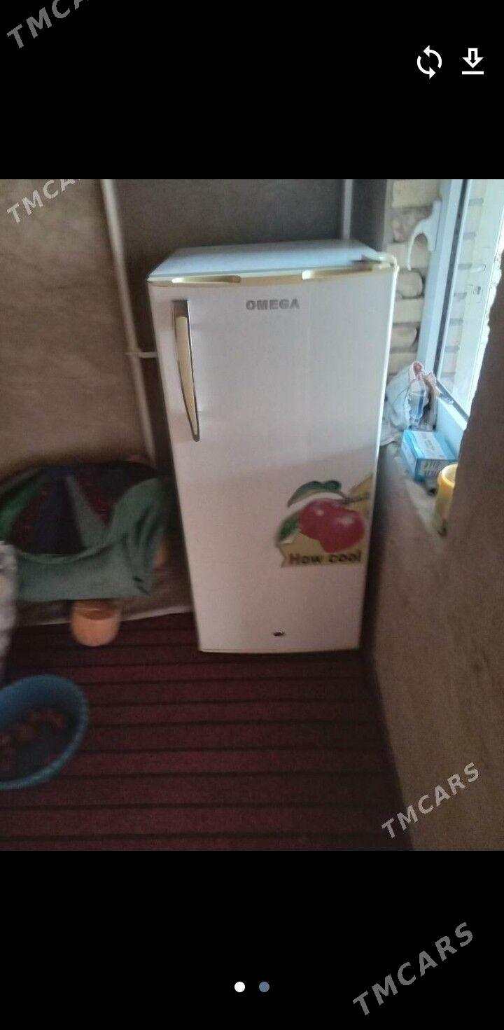 omega - Mary - img 2