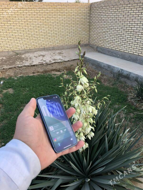 iphone 13 mini - Mary - img 3