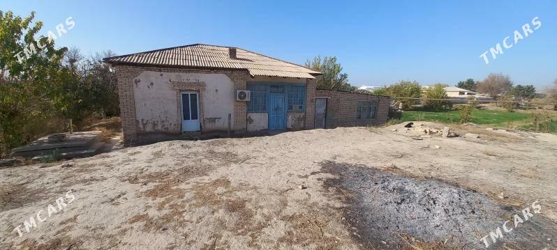 satlyk jay howly - Mary - img 2