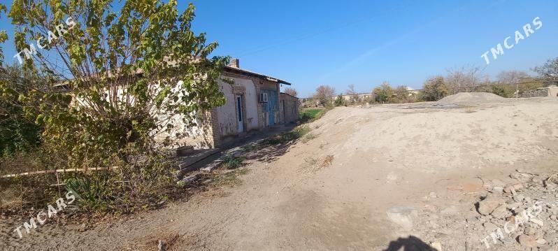 satlyk jay howly - Mary - img 3