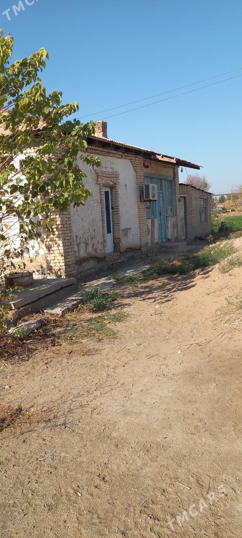 satlyk jay howly - Mary - img 4