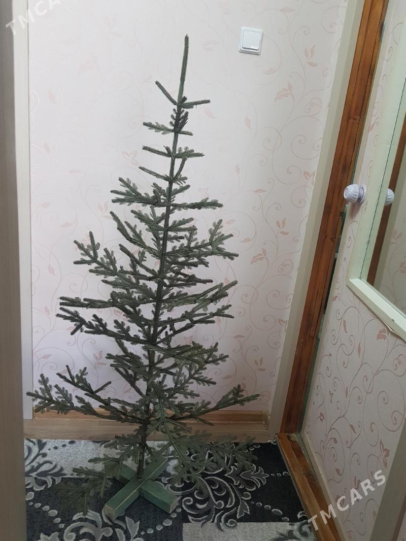 елка - Туркменбаши - img 2