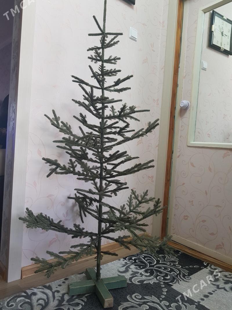 елка - Туркменбаши - img 1