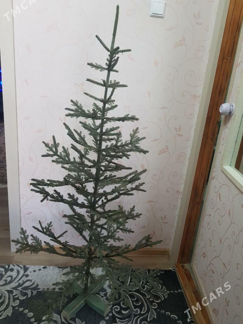 елка - Туркменбаши - img 3