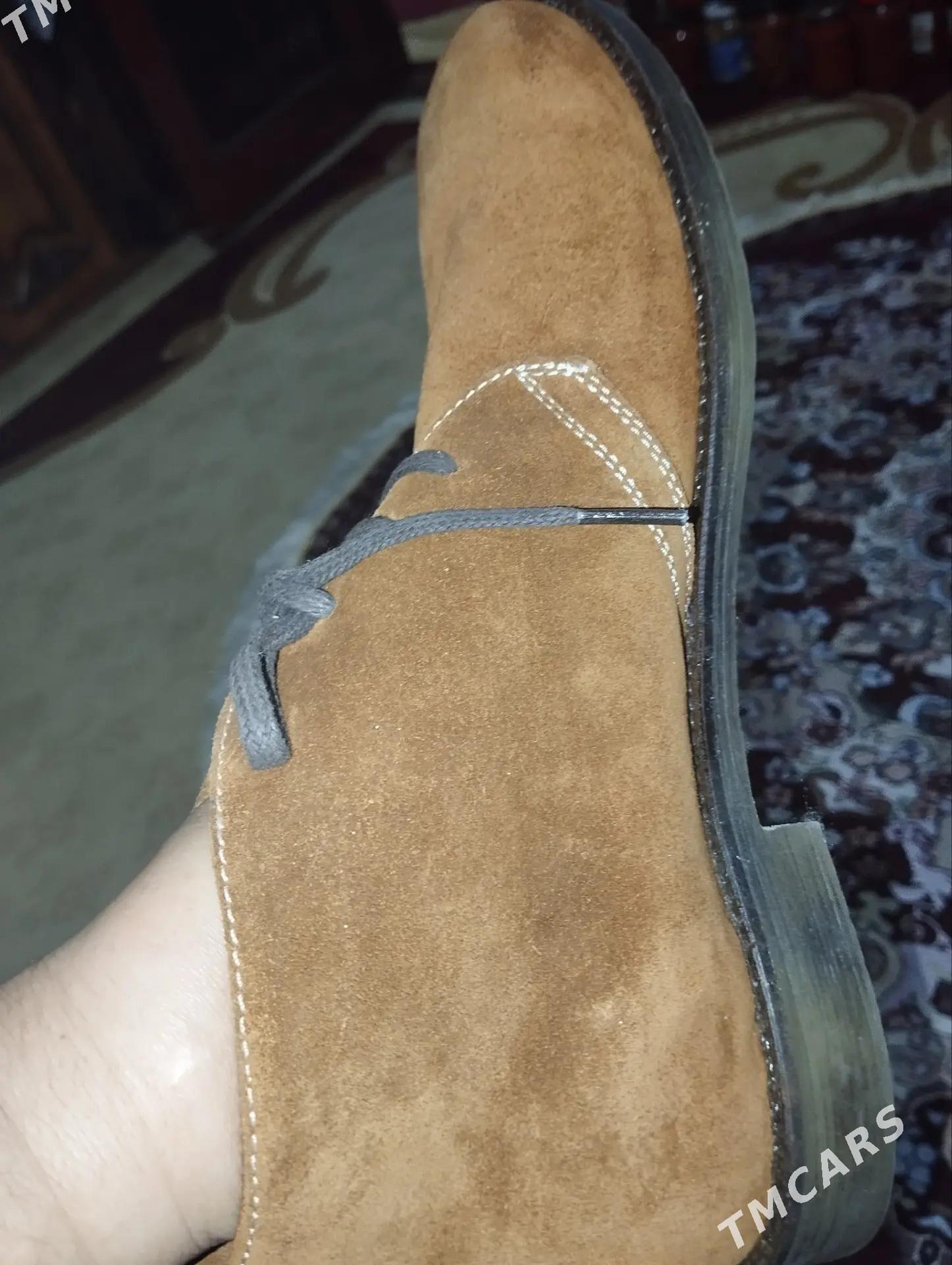 Erkek adikler - Daşoguz - img 2