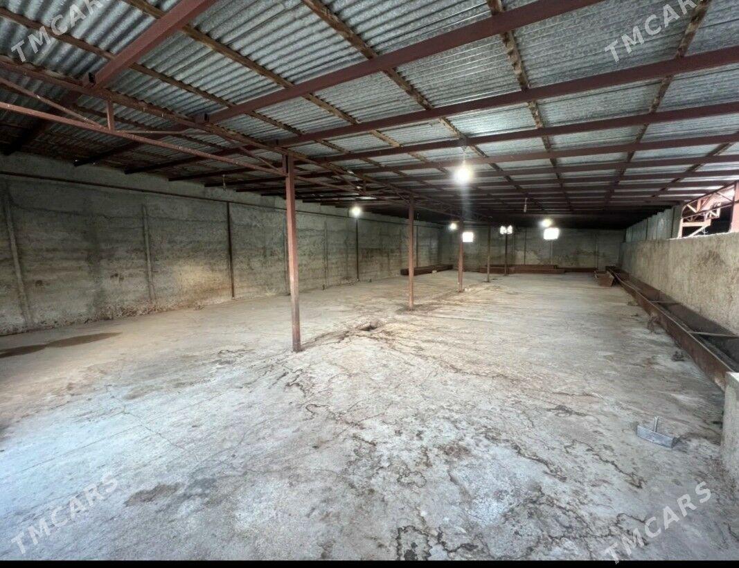 ferma we jay - Гызыларбат - img 3