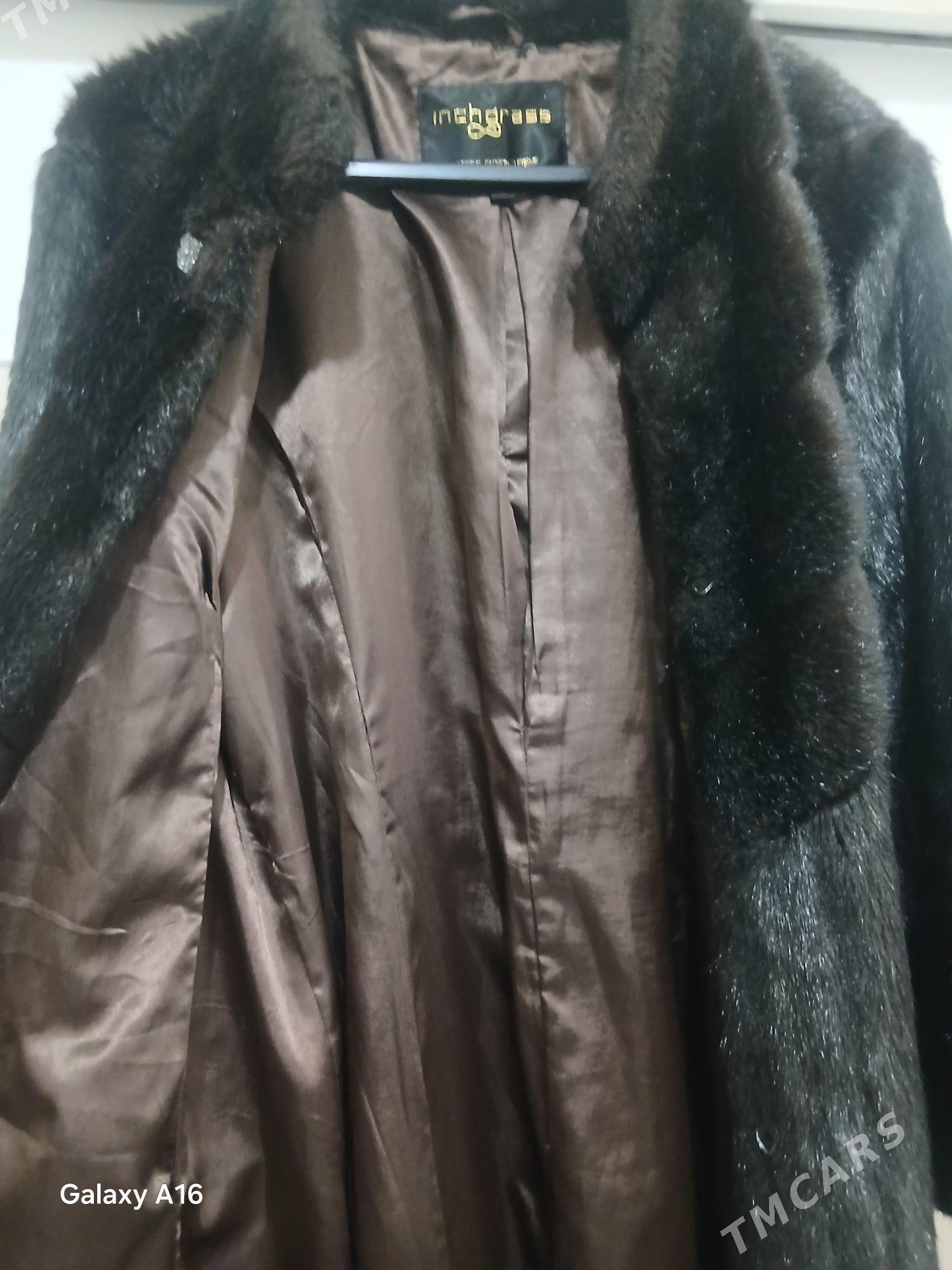 shuba - Тязе заман - img 3