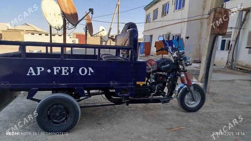 Fekon FK200-14G 2015 - 24 000 TMT - Gumdag - img 6