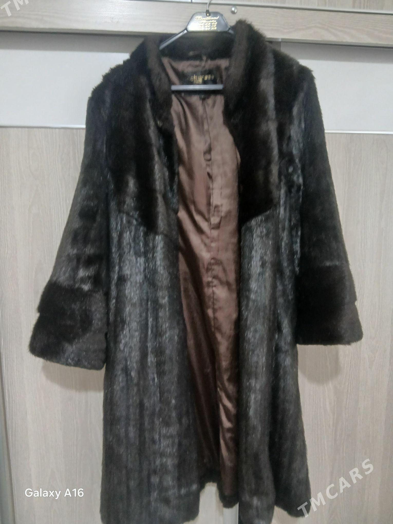 shuba - Тязе заман - img 2