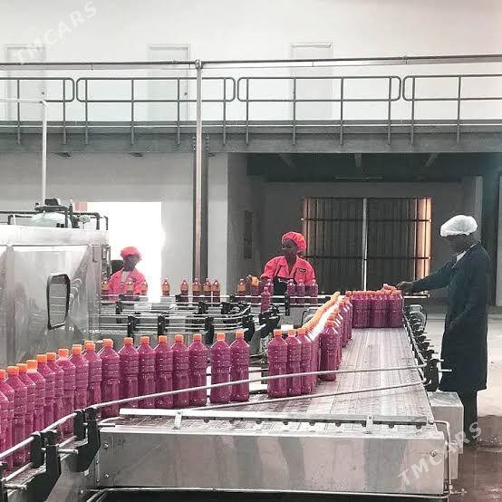 Ketçup önümçilik liniýasy - Ашхабад - img 2