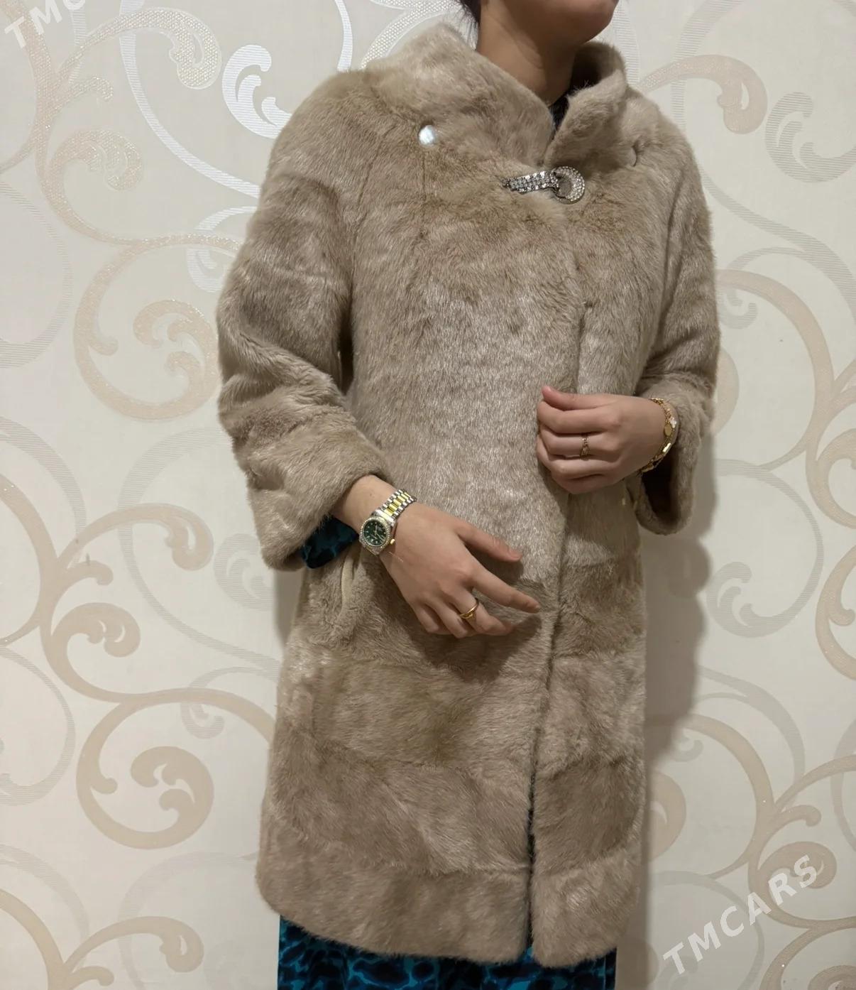 Şuba. - Balkanabat - img 2