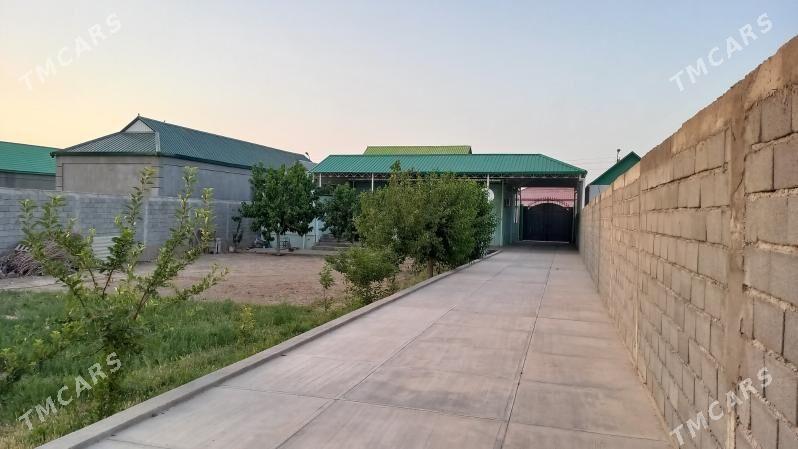 Er plan jaý 12 sotak - Херрикгала - img 2