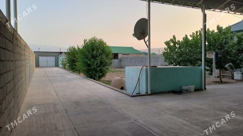 Er plan jaý 12 sotak - Херрикгала - img 5