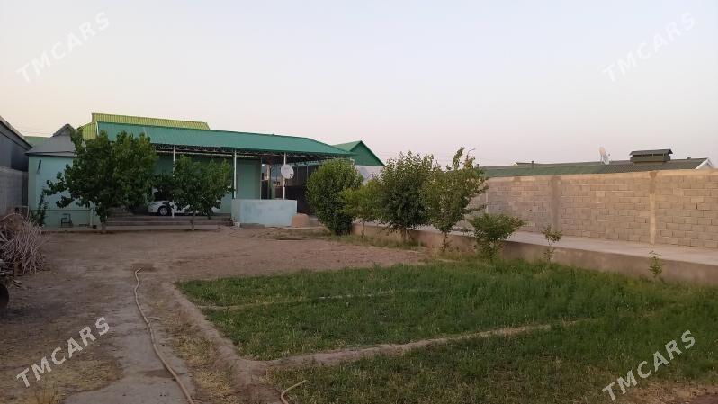 Er plan jaý 12 sotak - Херрикгала - img 4