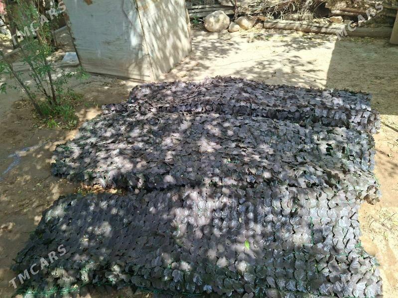 NAWESA DAKYLYAN YAPRAK - Aşgabat - img 2