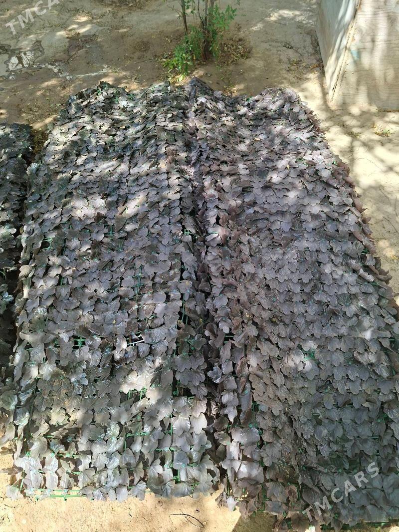 NAWESA DAKYLYAN YAPRAK - Aşgabat - img 3