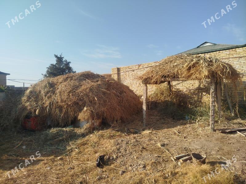 ot beda - Туркменабат - img 2