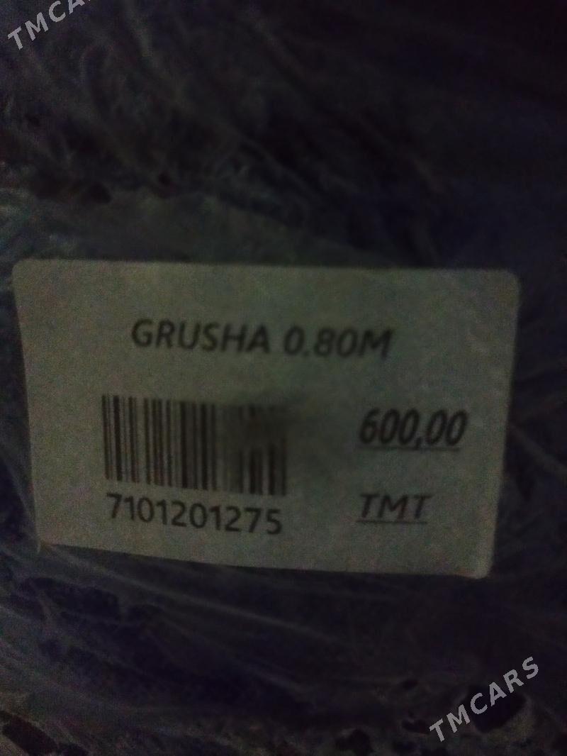 Gruşa - Хитровка - img 3