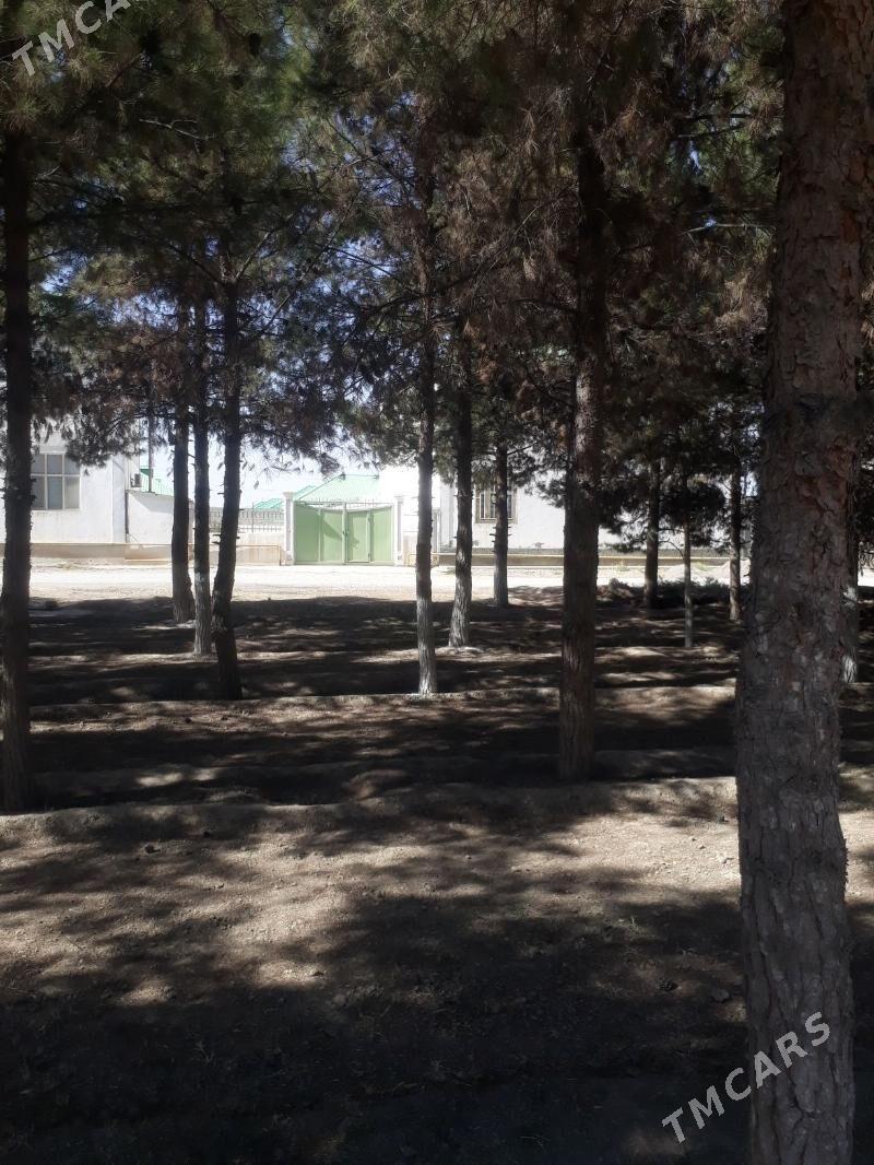 GÖKDEPE SATLYK KOTEŽ - Гёкдепе - img 2