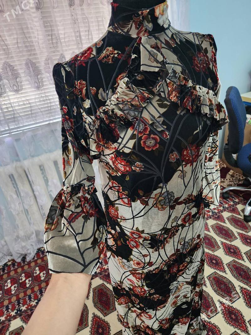 pijak - Çoganly - img 8