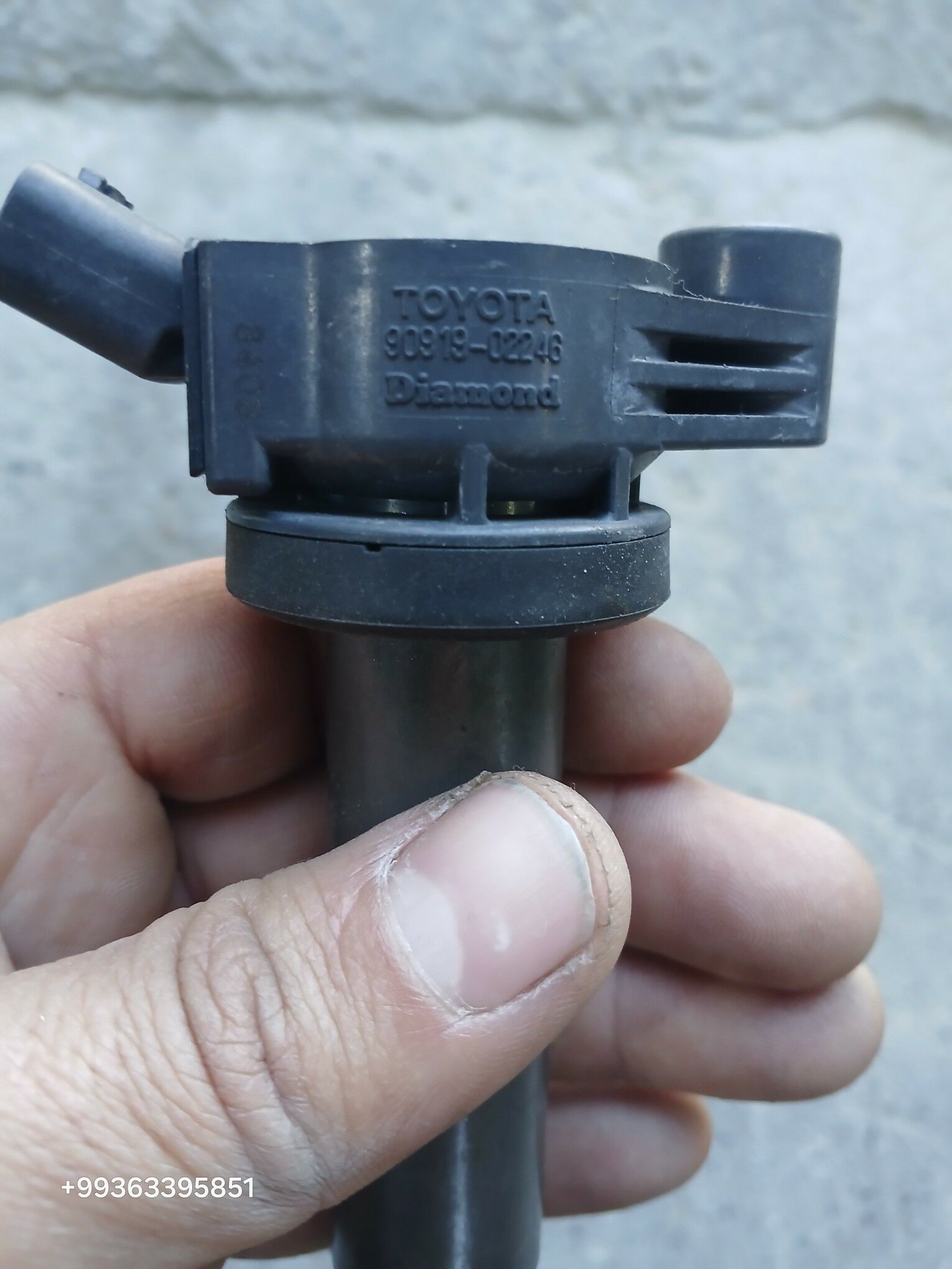 Katuşka 200 TMT - Mary - img 2