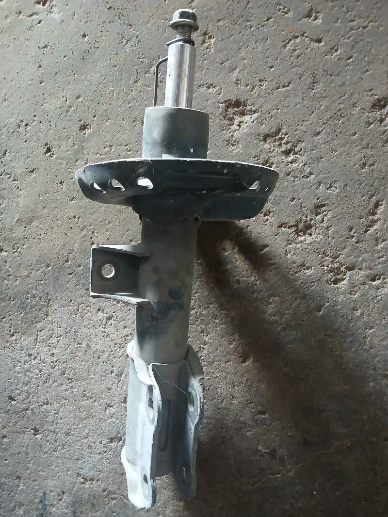 Amasator 300 TMT - Mary - img 1