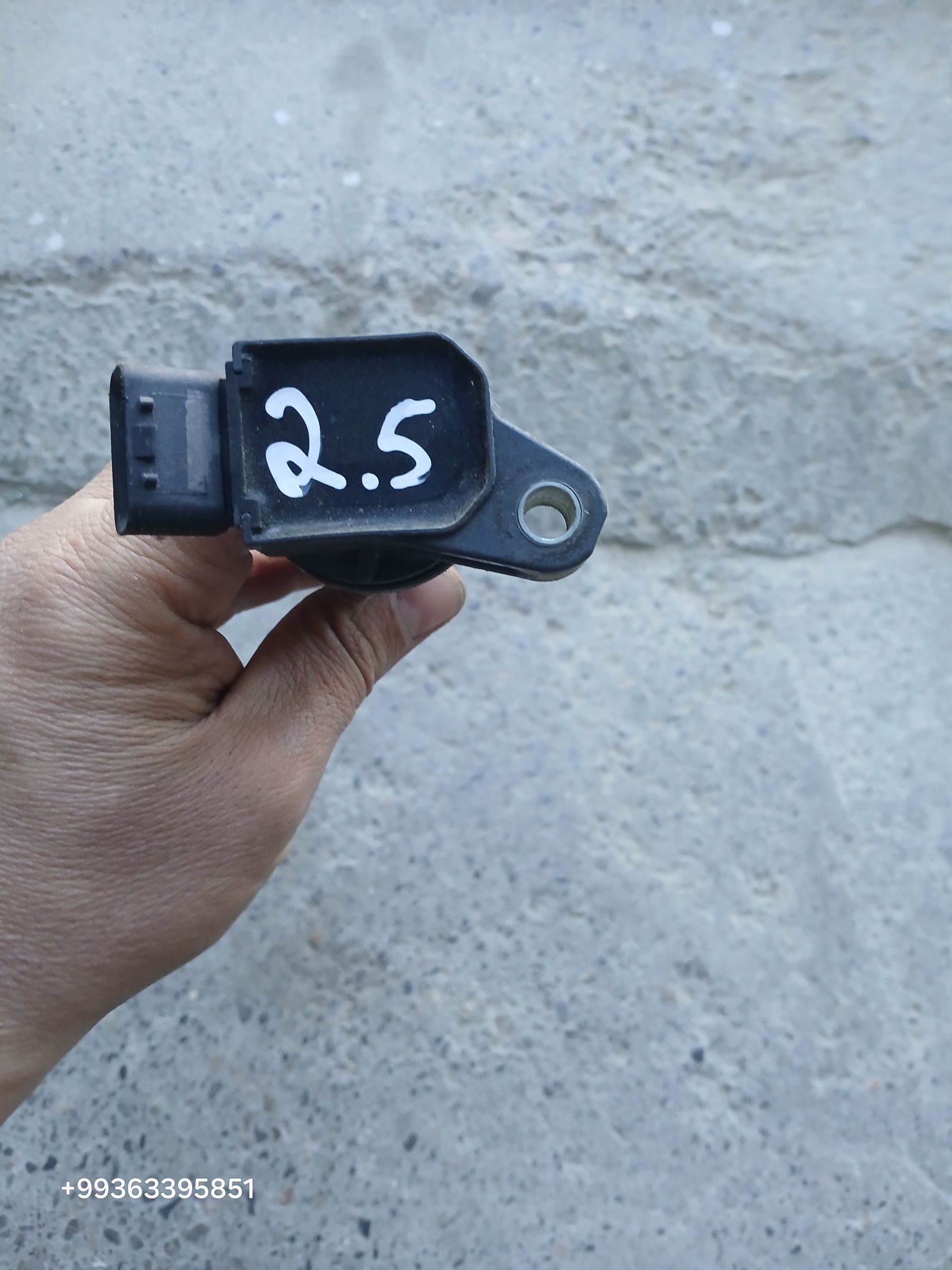 Katuşka 250 TMT - Mary - img 1