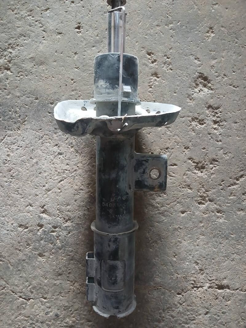 Amasator 300 TMT - Mary - img 2