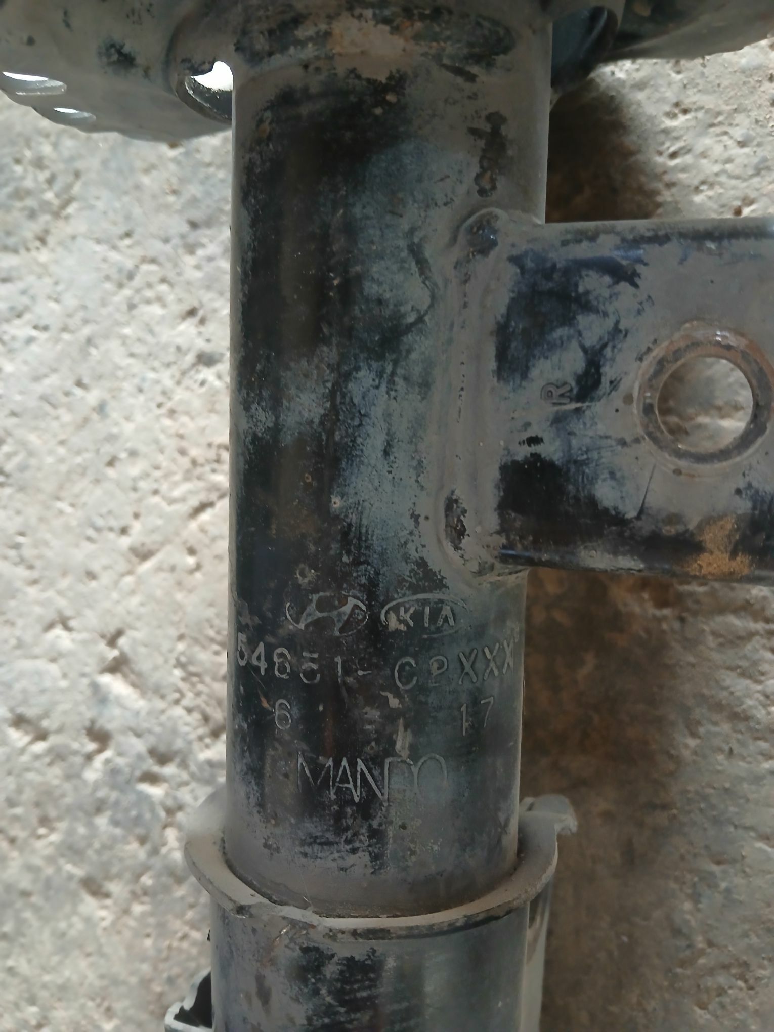 Amasator 300 TMT - Mary - img 3