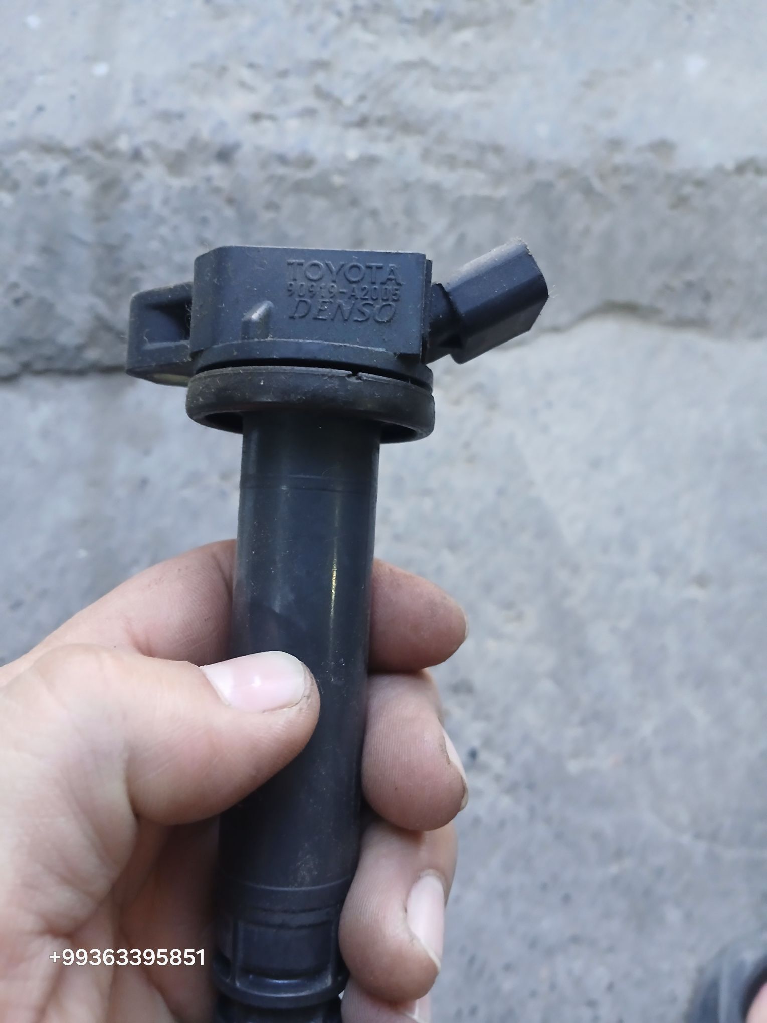 Katuşka 250 TMT - Mary - img 2