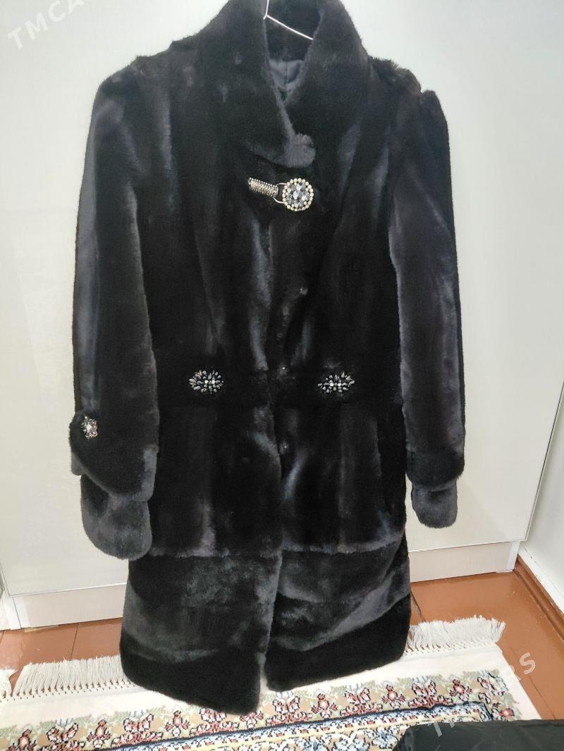 şuba - Херрикгала - img 2