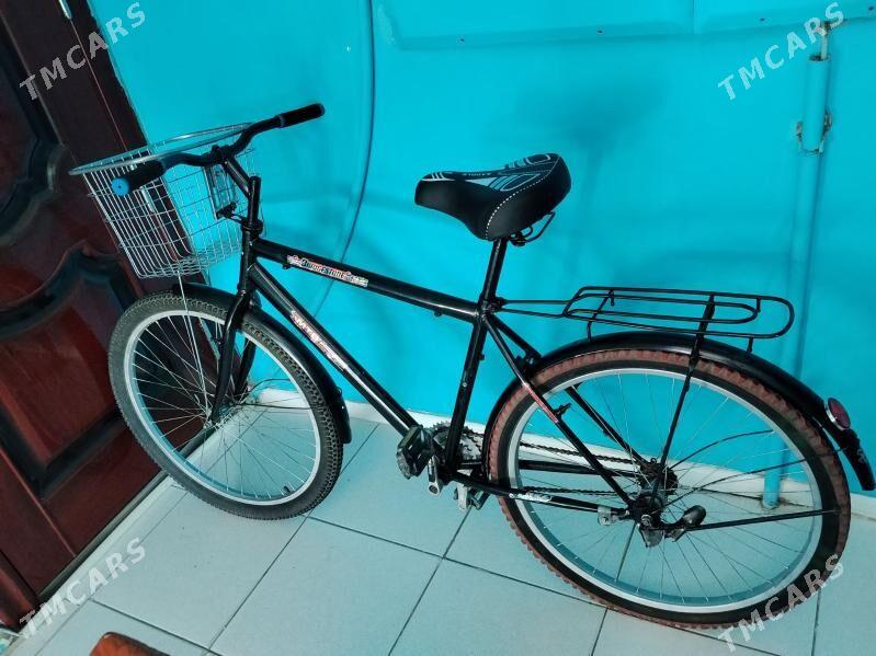 Tigir 26 lyk - Гаудан "А" - img 2