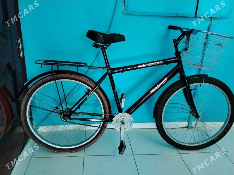 Tigir 26 lyk - Гаудан "А" - img 4