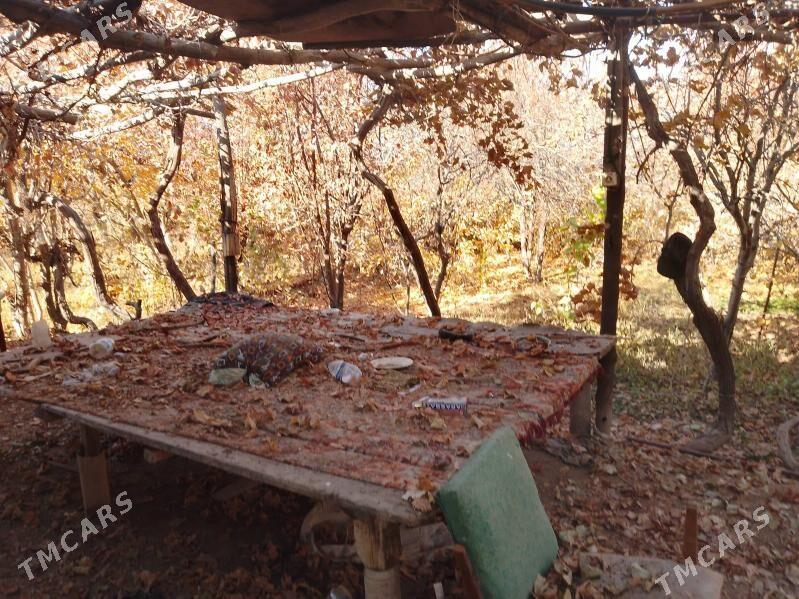 70yylyk daca - Чарджоу - img 5