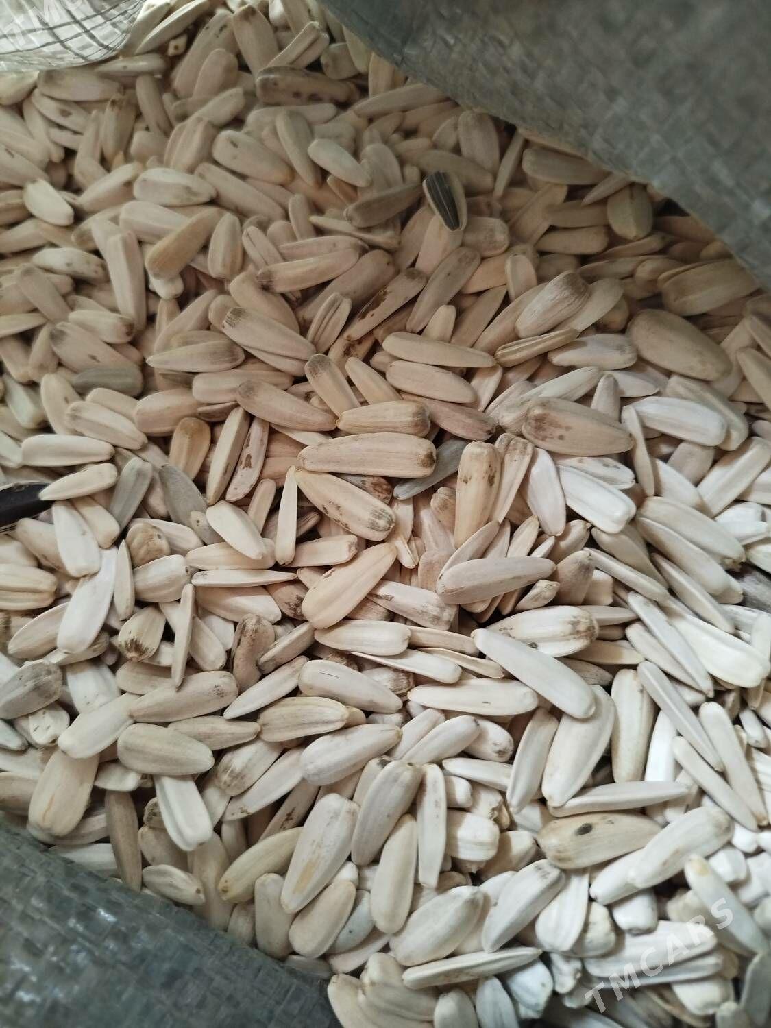 çigit - Halaç - img 2