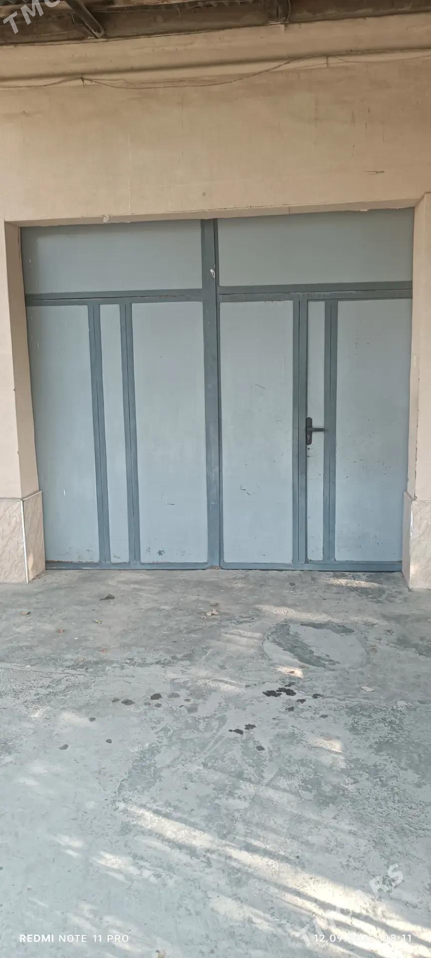 Железные ворота - Туркменабат - img 2