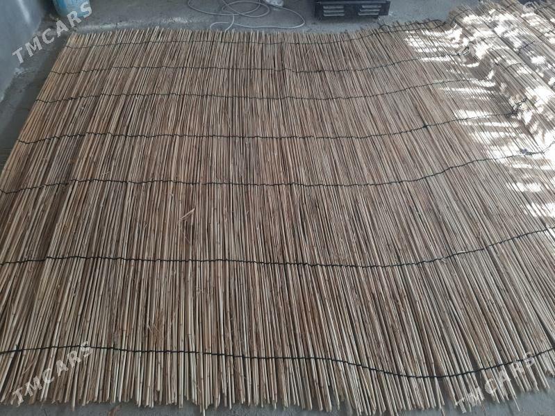 Gamyş - Täze zaman - img 4