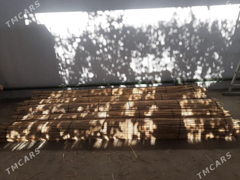 Gamyş - Täze zaman - img 2