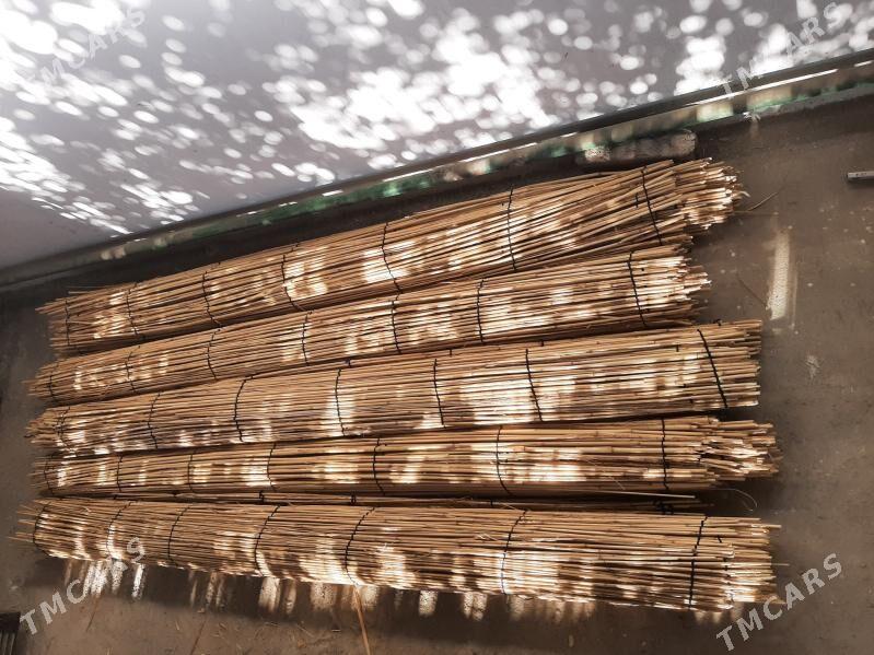 Gamyş - Täze zaman - img 3