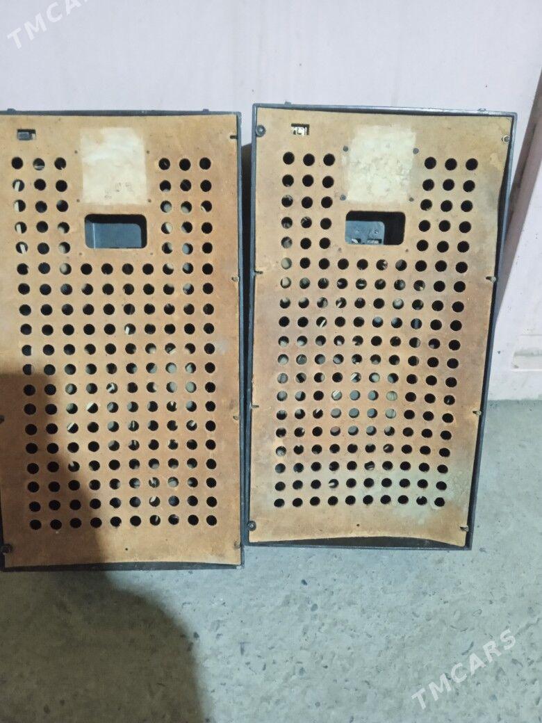 kalonka - Туркменабат - img 2