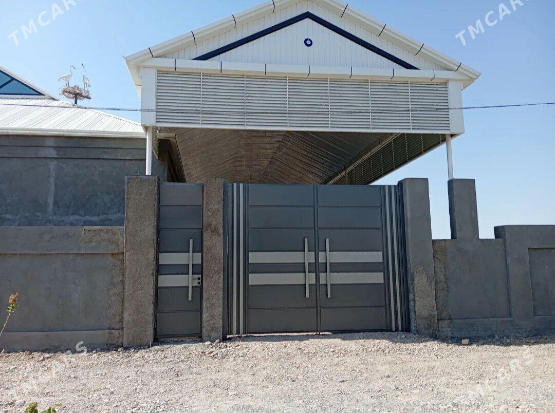 Warata derweze Gapy - Murgap - img 10