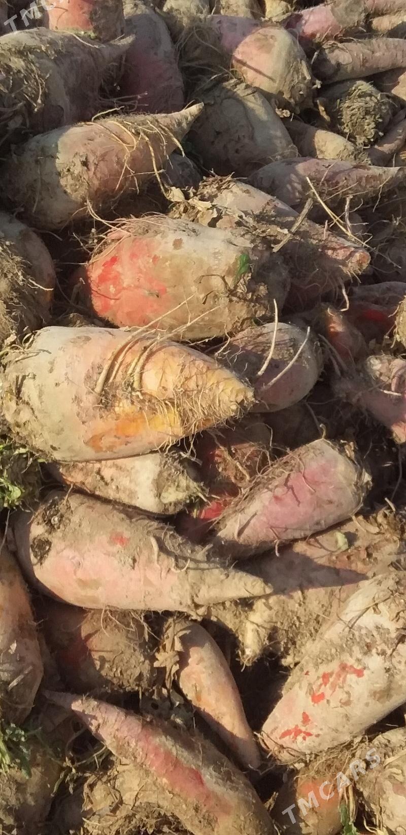 Mal şugundur - Гызыларбат - img 2