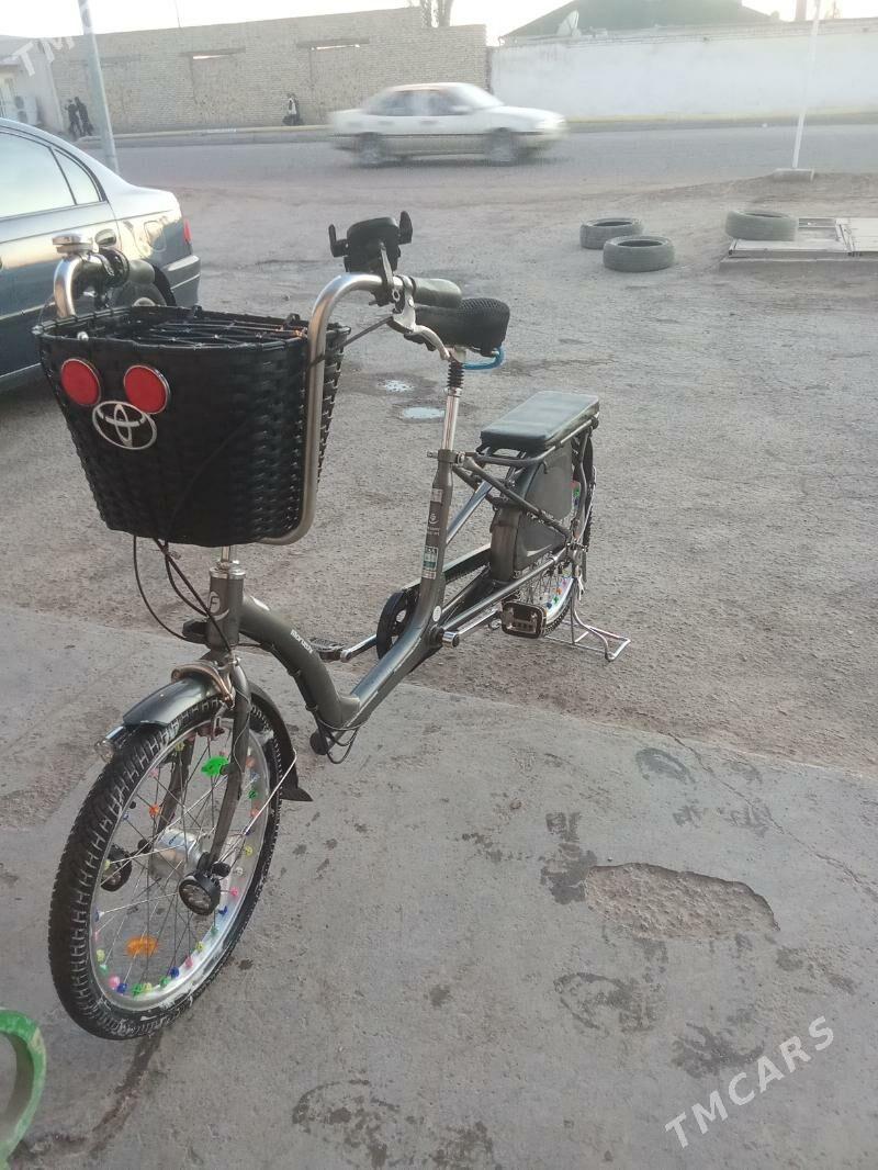 велик - Гурбансолтан Едже - img 3