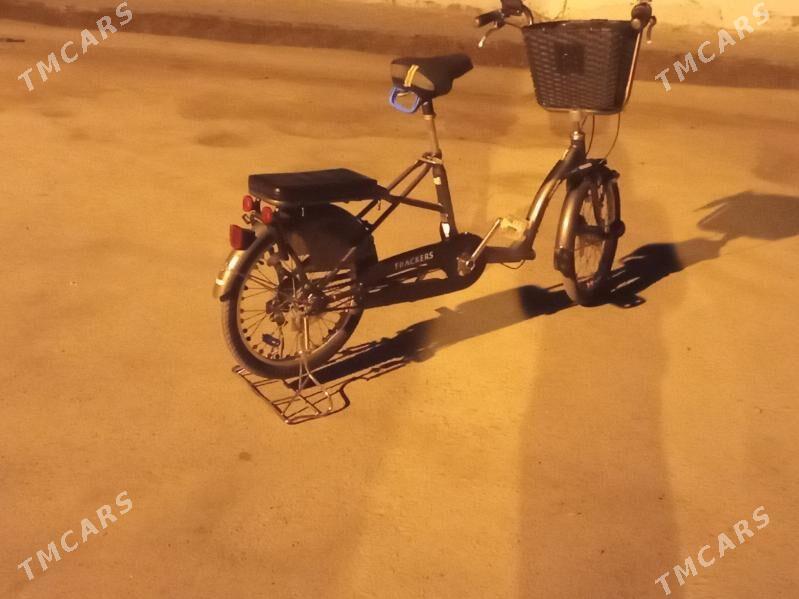 велик - Гурбансолтан Едже - img 5