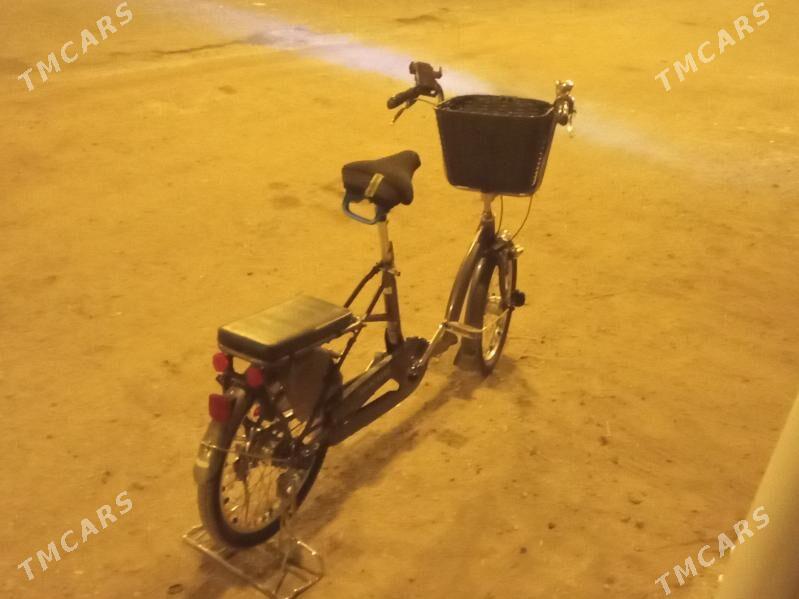 велик - Гурбансолтан Едже - img 7