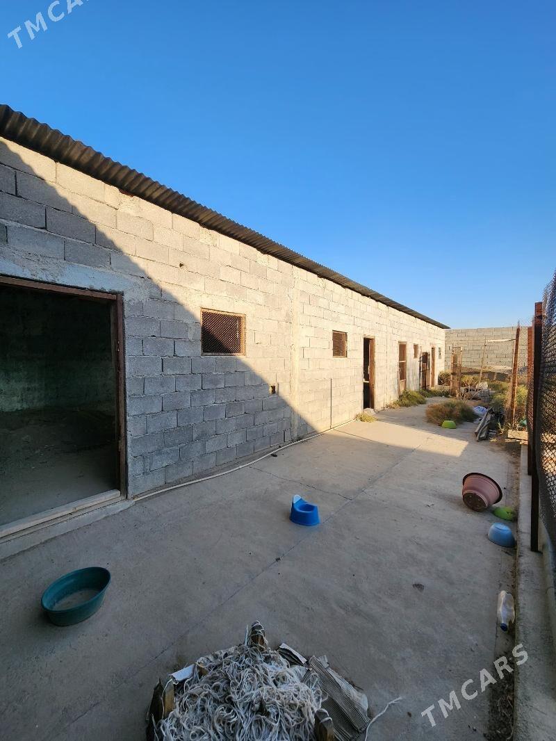 Arenda Sklad, Seh, palatkacyla - Ашхабад - img 7