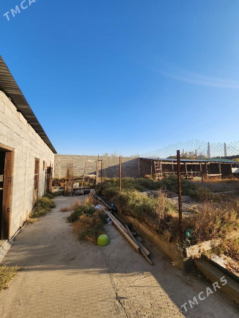 Arenda Sklad, Seh, palatkacyla - Ашхабад - img 8