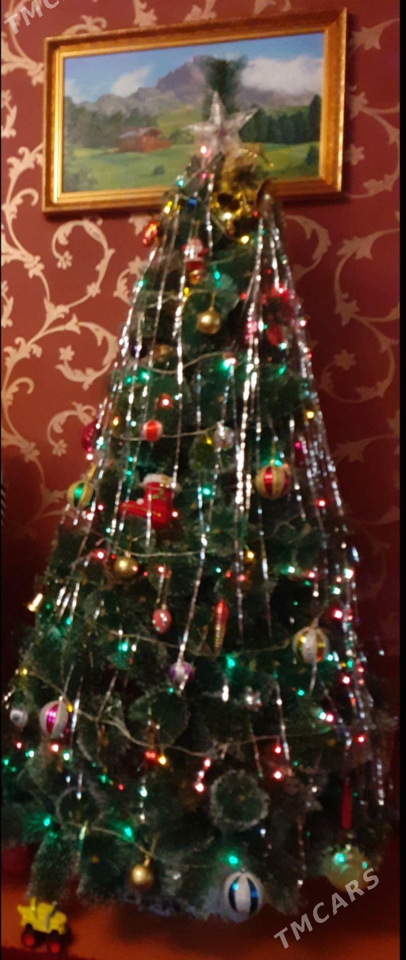 ЁЛКА НОВОГОДНЯЯ - Туркменбаши - img 1