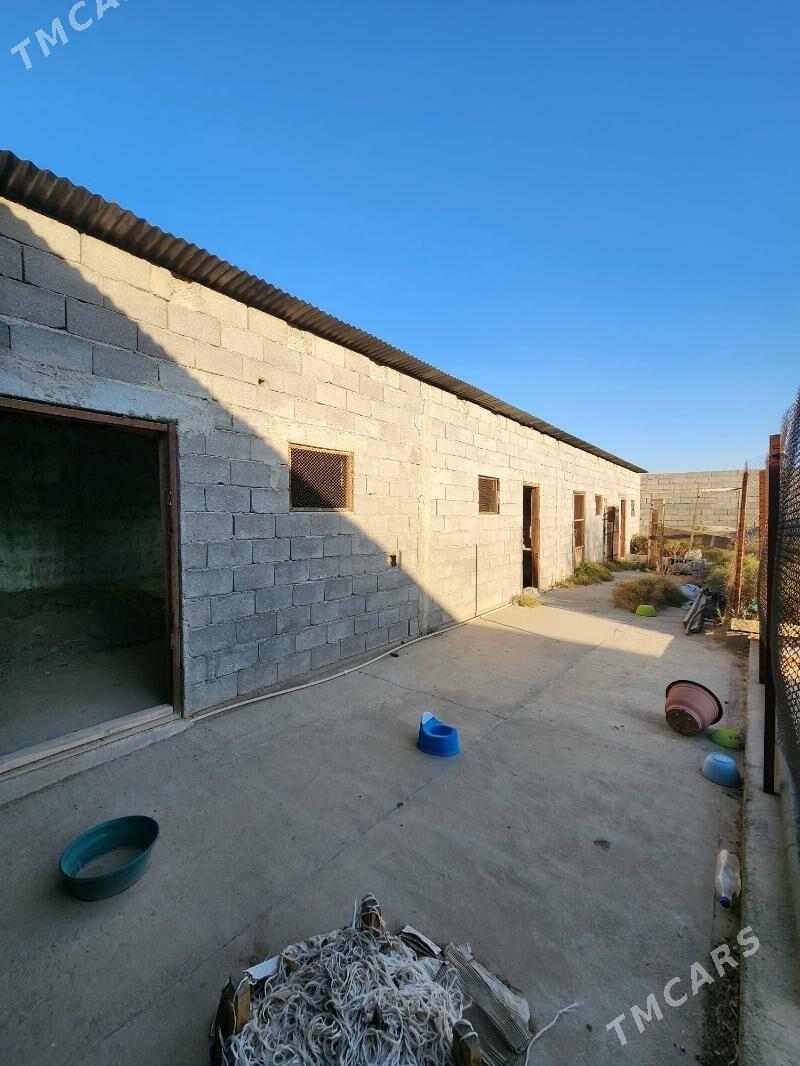 Arenda Sklad, Seh, palatka yer - Ашхабад - img 6